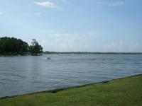 DSCN3616.jpg