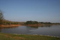 IMG_1270.JPG