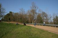 IMG_1271.JPG