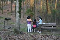 IMG_1286.JPG