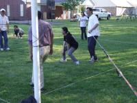 DSCF5715.JPG
