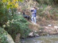 DSCF4811.JPG