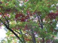 DSCF4912.JPG