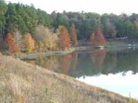 DSCF4928.JPG